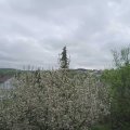 Webcam_20210511-134500