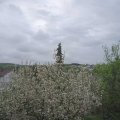 Webcam_20210511-144500