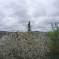 Webcam_20210511-151500