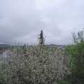 Webcam_20210511-171500