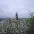 Webcam_20210511-173000