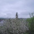 Webcam_20210511-180000
