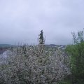 Webcam_20210511-184500