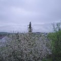 Webcam_20210511-190000