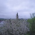 Webcam_20210511-193000