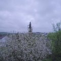 Webcam_20210511-194500