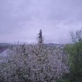 Webcam_20210511-200000