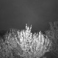 Webcam_20210511-204500