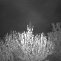 Webcam_20210511-213000