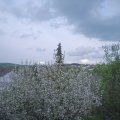 Webcam_20210512-183000