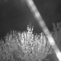 Webcam_20210512-211500