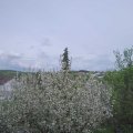 Webcam_20210513-171500