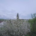 Webcam_20210513-173000