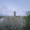 Webcam_20210513-174500