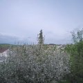 Webcam_20210513-180000