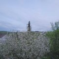 Webcam_20210513-184500