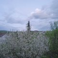 Webcam_20210513-190000