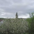 Webcam_20210515-161500