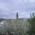 Webcam_20210515-163000