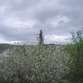 Webcam_20210515-164500