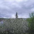 Webcam_20210515-173000