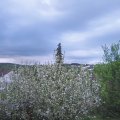 Webcam_20210515-184500