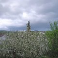 Webcam_20210515-190000