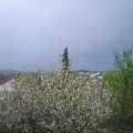 Webcam_20210515-191500