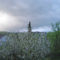 Webcam_20210515-193000