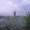 Webcam_20210515-194500