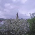 Webcam_20210515-200000