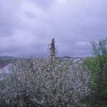Webcam_20210515-201500