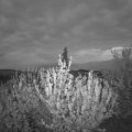 Webcam_20210515-204500