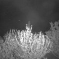 Webcam_20210515-214500