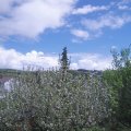 Webcam_20210516-130000