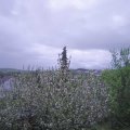 Webcam_20210516-191500
