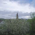 Webcam_20210517-151500