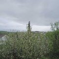 Webcam_20210517-161500