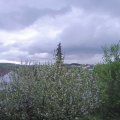 Webcam_20210517-171500