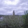 Webcam_20210517-173000