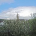 Webcam_20210517-184500