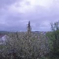 Webcam_20210517-200000