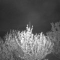 Webcam_20210517-211500