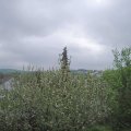 Webcam_20210519-103000