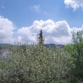 Webcam_20210519-113000