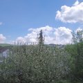 Webcam_20210519-120000