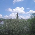 Webcam_20210519-121500