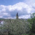 Webcam_20210519-130000