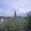 Webcam_20210519-140000