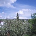 Webcam_20210519-143000